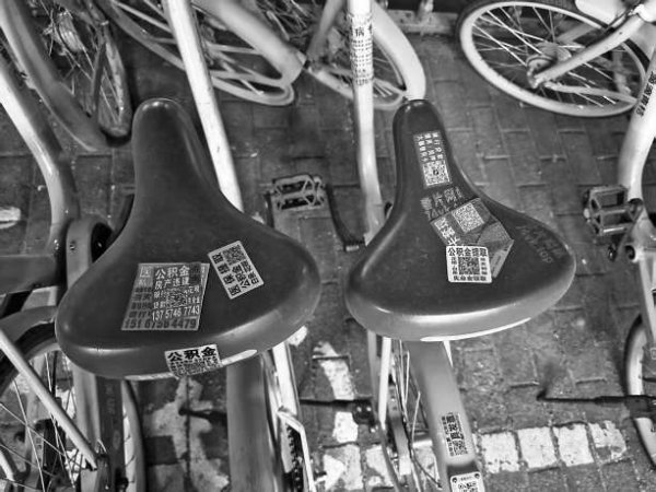 锦盈多 “公积金提取”小广告莫轻信