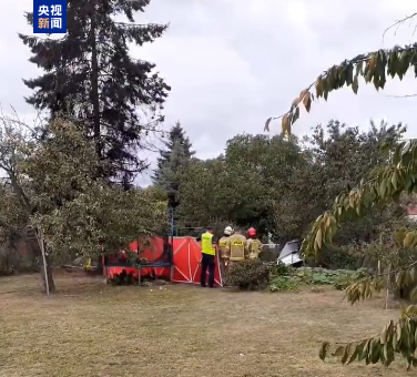 通弘网  一架轻型飞机在波兰坠毁，造成两人死亡
