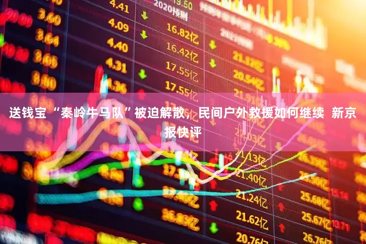 送钱宝 “秦岭牛马队”被迫解散，民间户外救援如何继续  新京报快评